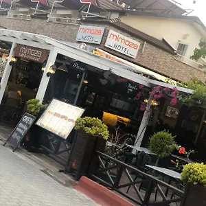 Отель Mimoza